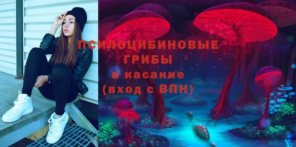 герыч Бронницы