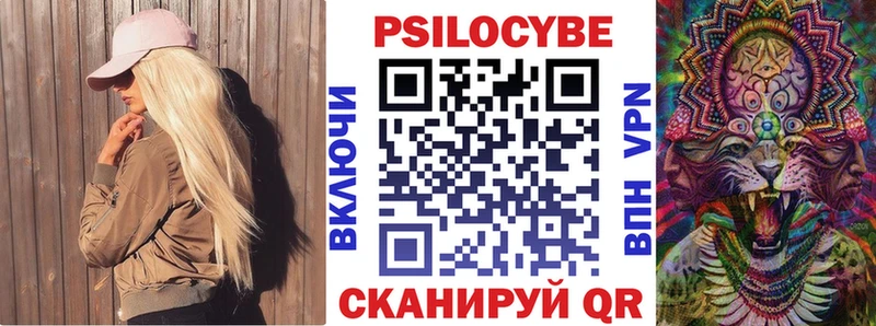 где купить наркоту  Ессентукская  Галлюциногенные грибы Cubensis 
